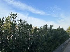 -三林塘老街