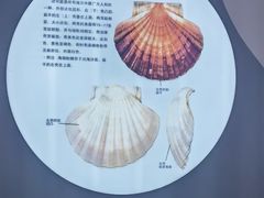 -海合安青岛极地海洋公园