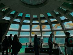 -西雅图水族馆