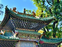 -迎泽公园