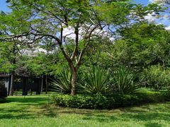 -风云岭森林公园