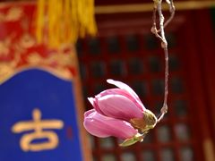 -潭柘寺景区