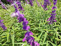 -玄武湖景区-情侣园游乐场