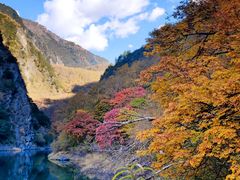 -叠溪松坪沟景区