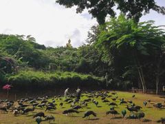 -西双版纳勐泐文化旅游区