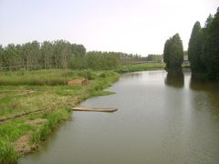 -溱湖国家湿地公园