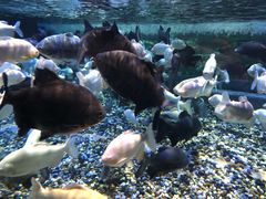 -成都浩海立方海洋公园