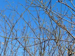 -广州市流溪河国家森林公园