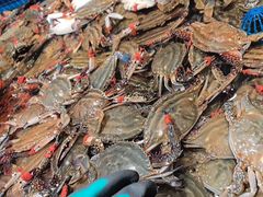 -一方渔歌蒸汽海鲜自助(文化路万达广场店)