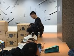 -雾与山茶(大禹城店)