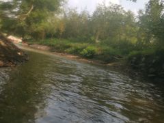 -天目湖松岭竹海漂流