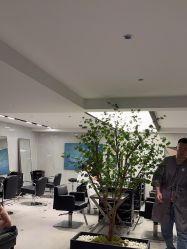 -付军剪艺JF ProSalon