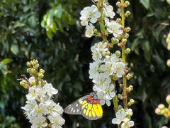 -风云岭森林公园