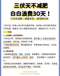 -Fundi张玉珊修身堂·indiba·BTL科技瘦身