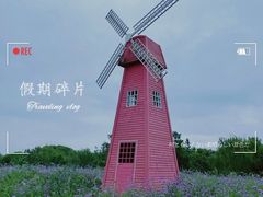 -同里国家湿地公园