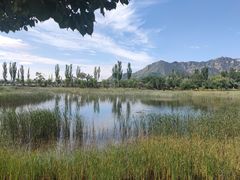 -乌素图国家森林公园