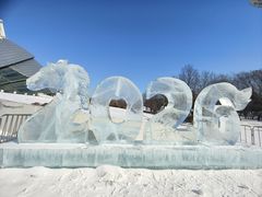 -沈阳奥体冰雪嘉年华