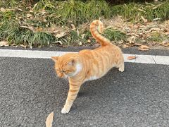 -宝界山林公园