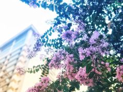 -重庆医科大学附属第一医院(本部)