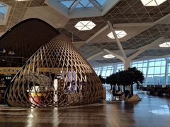 -盖达尔·阿利耶夫国际机场