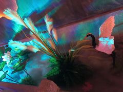 -韵秋荷(宝山龙湖天街店)