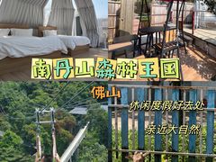 -南丹山森林王国