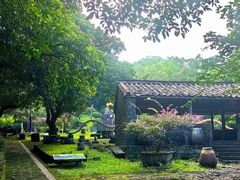 -海口火山口国家地质公园