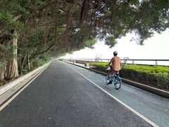 -大湾区中央湿地公园
