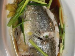 -冯姐生蚝(迎宾广场店)