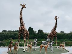 -北京野生动物园