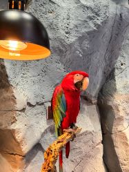 -Zoolung Zoolung动物主题公园(海信广场店)