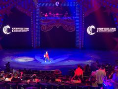 -珠海横琴长隆《卡卡虎奇遇记》