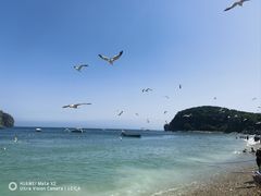 -棒棰岛宾馆景区
