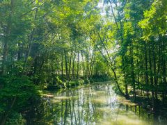 -桤木河湿地公园