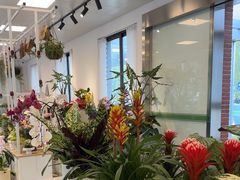 -上海鲜花港