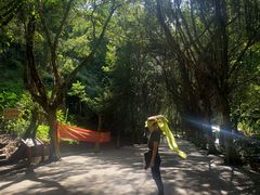-滴水岩森林公园