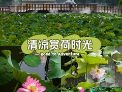 -黄兴公园