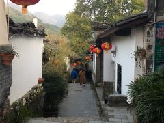 -后柳水乡