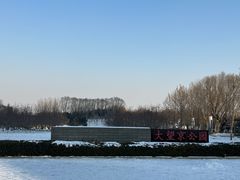 -大望京公园