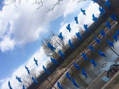 -北京上庄水库尚野露天户外自助烧烤