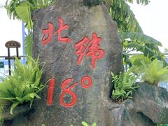 -呀诺达热带雨林