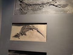 -辽宁古生物博物馆