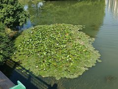 -白塘生态植物园
