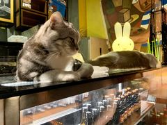 -咖法森林·咖啡  酒吧(天河店)