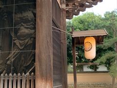 -奈良公园