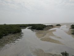 -北海金海湾红树林生态旅游区