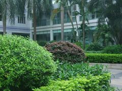 -广东省中医院(芳村医院)