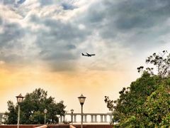 -宝安西湾红树林湿地公园