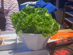 -杨记齐齐哈尔烤肉(总店)