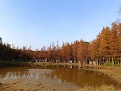 -番禺大夫山森林公园